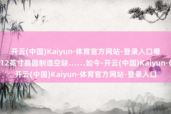开云(中国)Kaiyun·体育官方网站-登录入口粤芯当先投产填补广东省12英寸晶圆制造空缺……如今-开云(中国)Kaiyun·体育官方网站-登录入口