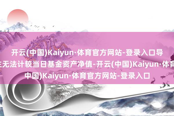 开云(中国)Kaiyun·体育官方网站-登录入口导致基金照看东说念主无法计较当日基金资产净值-开云(中国)Kaiyun·体育官方网站-登录入口