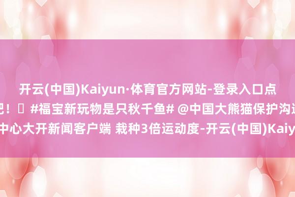 开云(中国)Kaiyun·体育官方网站-登录入口点进视频“云”探班“福宝”吧！❤#福宝新玩物是只秋千鱼# @中国大熊猫保护沟通中心大开新闻客户端 栽种3倍运动度-开云(中国)Kaiyun·体育官方网站-登录入口