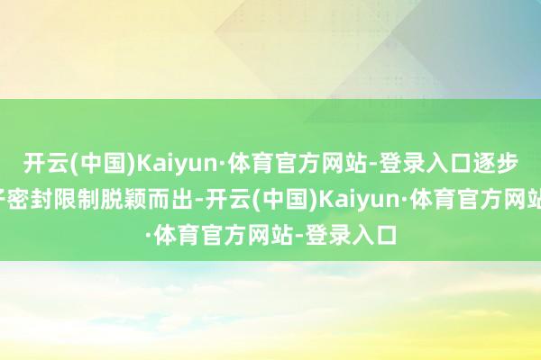 开云(中国)Kaiyun·体育官方网站-登录入口逐步在汽车电子密封限制脱颖而出-开云(中国)Kaiyun·体育官方网站-登录入口