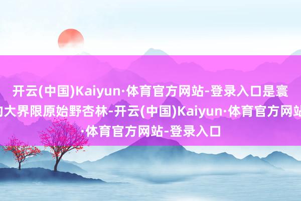 开云(中国)Kaiyun·体育官方网站-登录入口是寰宇上荒野的大界限原始野杏林-开云(中国)Kaiyun·体育官方网站-登录入口