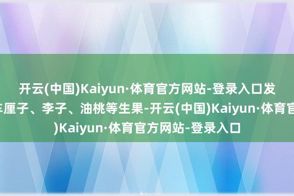 开云(中国)Kaiyun·体育官方网站-登录入口发现其中装有清新车厘子、李子、油桃等生果-开云(中国)Kaiyun·体育官方网站-登录入口