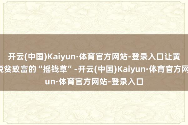 开云(中国)Kaiyun·体育官方网站-登录入口让黄花成为民众脱贫致富的“摇钱草”-开云(中国)Kaiyun·体育官方网站-登录入口