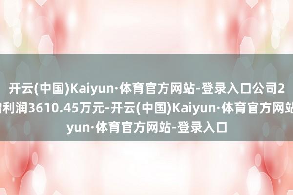 开云(中国)Kaiyun·体育官方网站-登录入口公司2022年虚增利润3610.45万元-开云(中国)Kaiyun·体育官方网站-登录入口