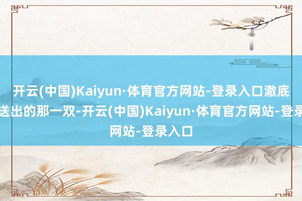 开云(中国)Kaiyun·体育官方网站-登录入口澈底是我送出的那一双-开云(中国)Kaiyun·体育官方网站-登录入口