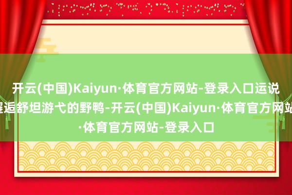 开云(中国)Kaiyun·体育官方网站-登录入口运说念好还能邂逅舒坦游弋的野鸭-开云(中国)Kaiyun·体育官方网站-登录入口
