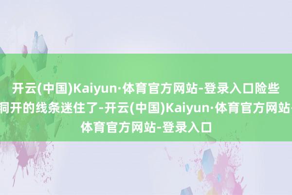 开云(中国)Kaiyun·体育官方网站-登录入口险些被它优雅洞开的线条迷住了-开云(中国)Kaiyun·体育官方网站-登录入口