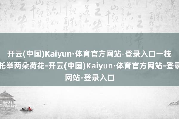 开云(中国)Kaiyun·体育官方网站-登录入口一枝茎秆托举两朵荷花-开云(中国)Kaiyun·体育官方网站-登录入口