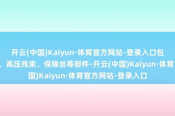 开云(中国)Kaiyun·体育官方网站-登录入口包括车辆的充电接口、高压线束、保障丝等部件-开云(中国)Kaiyun·体育官方网站-登录入口