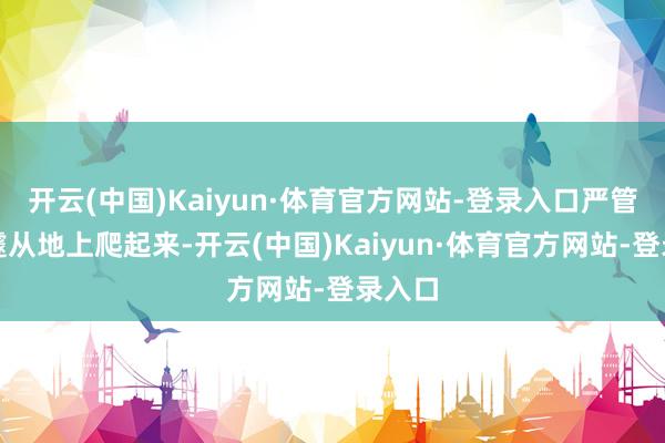 开云(中国)Kaiyun·体育官方网站-登录入口严管家急遽从地上爬起来-开云(中国)Kaiyun·体育官方网站-登录入口
