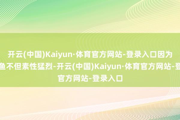 开云(中国)Kaiyun·体育官方网站-登录入口因为那粗野鱼不但素性猛烈-开云(中国)Kaiyun·体育官方网站-登录入口