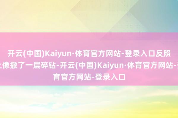 开云(中国)Kaiyun·体育官方网站-登录入口反照在江面上像撒了一层碎钻-开云(中国)Kaiyun·体育官方网站-登录入口