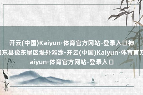 开云(中国)Kaiyun·体育官方网站-登录入口神色地处江苏省如东县豫东垦区堤外滩涂-开云(中国)Kaiyun·体育官方网站-登录入口
