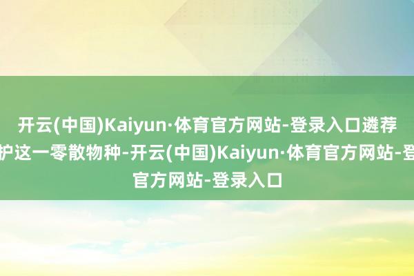 开云(中国)Kaiyun·体育官方网站-登录入口遴荐步骤保护这一零散物种-开云(中国)Kaiyun·体育官方网站-登录入口