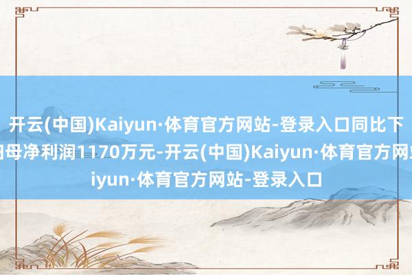 开云(中国)Kaiyun·体育官方网站-登录入口同比下落4.63%;归母净利润1170万元-开云(中国)Kaiyun·体育官方网站-登录入口