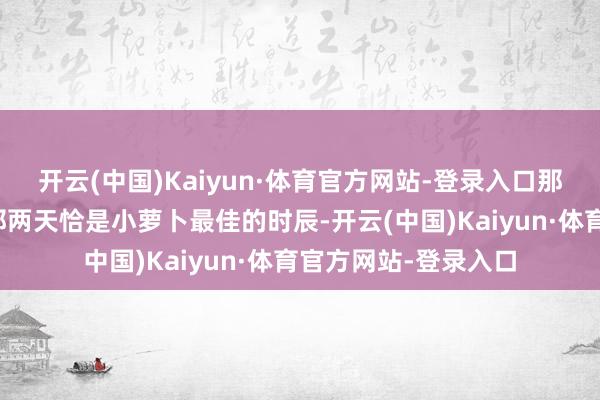 开云(中国)Kaiyun·体育官方网站-登录入口那诚然是不难吃的；那两天恰是小萝卜最佳的时辰-开云(中国)Kaiyun·体育官方网站-登录入口