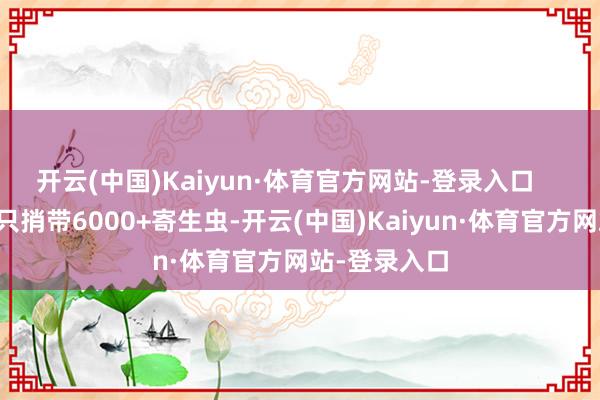开云(中国)Kaiyun·体育官方网站-登录入口    福寿螺：单只捎带6000+寄生虫-开云(中国)Kaiyun·体育官方网站-登录入口