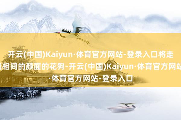 开云(中国)Kaiyun·体育官方网站-登录入口将走出几只曲直相间的颜面的花狗-开云(中国)Kaiyun·体育官方网站-登录入口