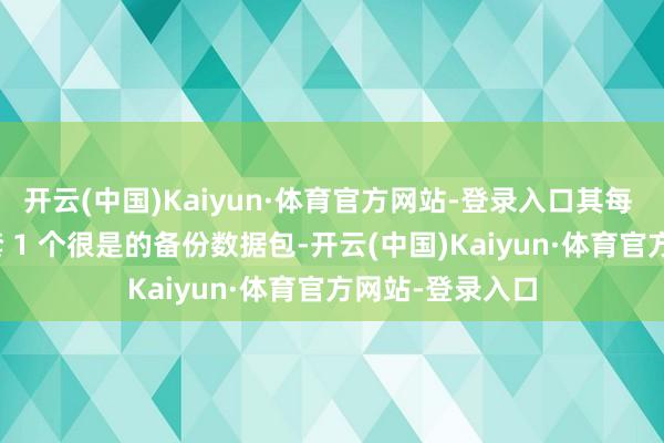 开云(中国)Kaiyun·体育官方网站-登录入口其每 8 个数据包配套 1 个很是的备份数据包-开云(中国)Kaiyun·体育官方网站-登录入口